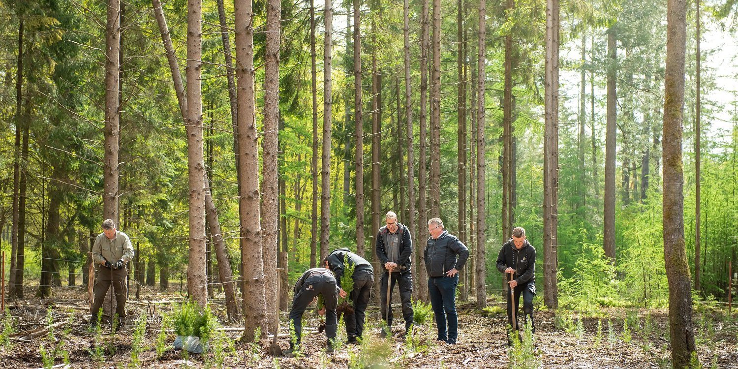 Afbeelding Bronkhorst plant 4000 bomen in Elspeterbos